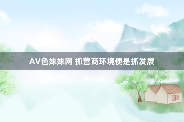 AV色妹妹网 抓营商环境便是抓发展