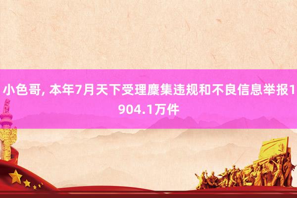 小色哥, 本年7月天下受理麇集违规和不良信息举报1904.1万件