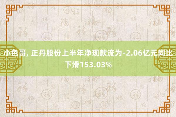 小色哥, 正丹股份上半年净现款流为-2.06亿元同比下滑153.03%