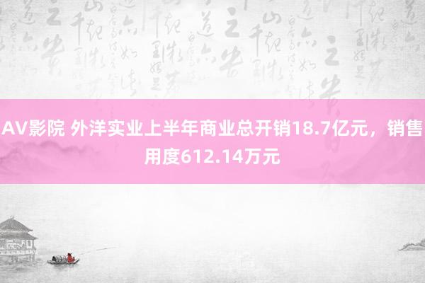 AV影院 外洋实业上半年商业总开销18.7亿元，销售用度612.14万元