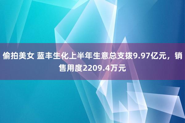 偷拍美女 蓝丰生化上半年生意总支拨9.97亿元，销售用度2209.4万元