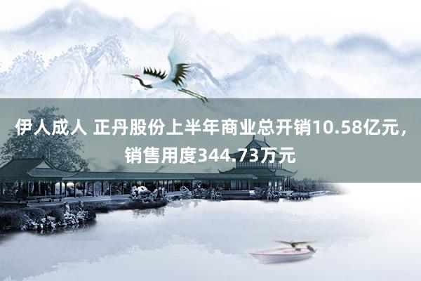 伊人成人 正丹股份上半年商业总开销10.58亿元，销售用度344.73万元