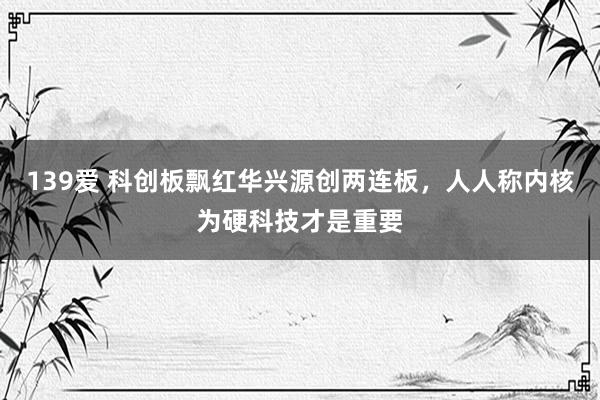 139爱 科创板飘红华兴源创两连板，人人称内核为硬科技才是重要