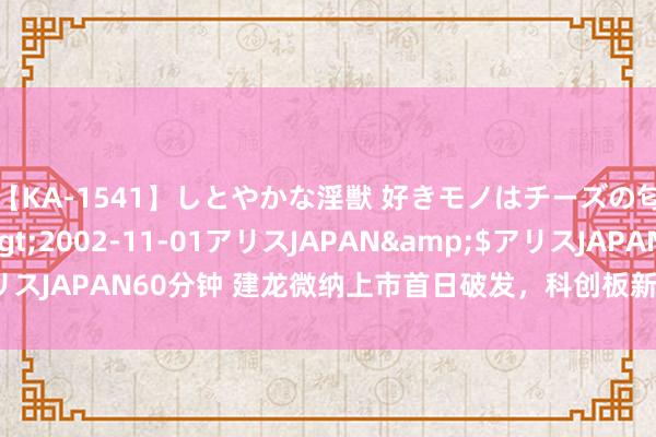 【KA-1541】しとやかな淫獣 好きモノはチーズの匂い 綾乃</a>2002-11-01アリスJAPAN&$アリスJAPAN60分钟 建龙微纳上市首日破发，科创板新股“躺赚”款式