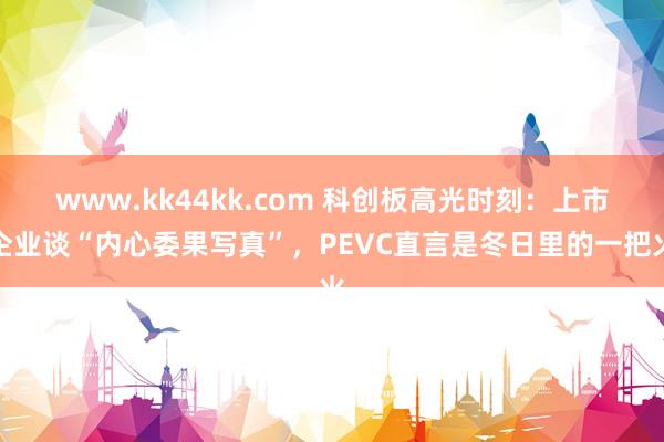 www.kk44kk.com 科创板高光时刻：上市企业谈“内心委果写真”，PEVC直言是冬日里的一把火