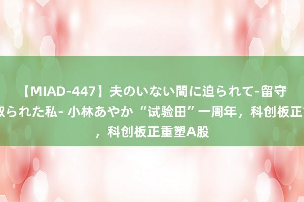 【MIAD-447】夫のいない間に迫られて-留守中に寝取られた私- 小林あやか “试验田”一周年，科创板正重塑A股