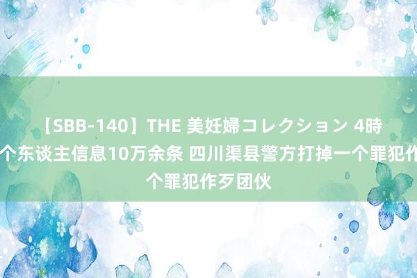 【SBB-140】THE 美妊婦コレクション 4時間 贩卖个东谈主信息10万余条 四川渠县警方打掉一个罪犯作歹团伙