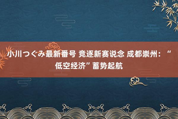 小川つぐみ最新番号 竞逐新赛说念 成都崇州：“低空经济”蓄势起航