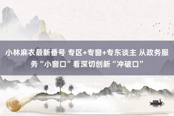 小林麻衣最新番号 专区+专窗+专东谈主 从政务服务“小窗口”看深切创新“冲破口”