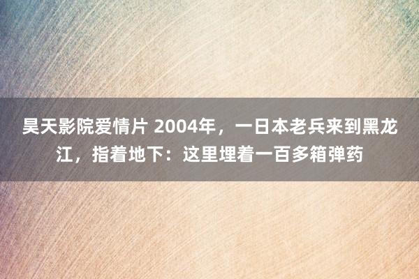 昊天影院爱情片 2004年，一日本老兵来到黑龙江，指着地下：这里埋着一百多箱弹药