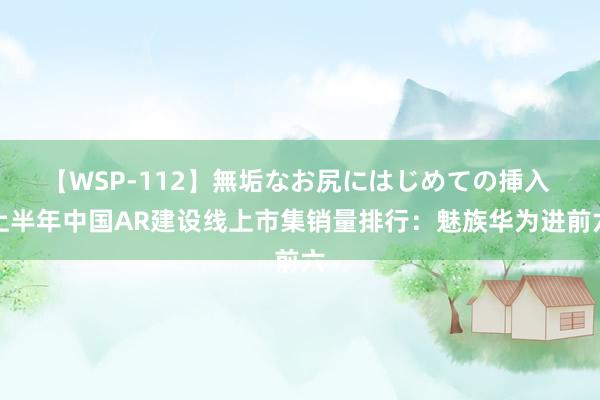 【WSP-112】無垢なお尻にはじめての挿入 上半年中国AR建设线上市集销量排行：魅族华为进前六