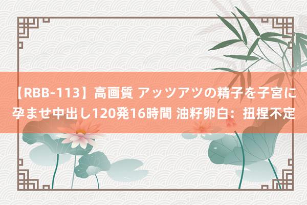 【RBB-113】高画質 アッツアツの精子を子宮に孕ませ中出し120発16時間 油籽卵白：扭捏不定