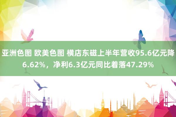 亚洲色图 欧美色图 横店东磁上半年营收95.6亿元降6.62%，净利6.3亿元同比着落47.29%