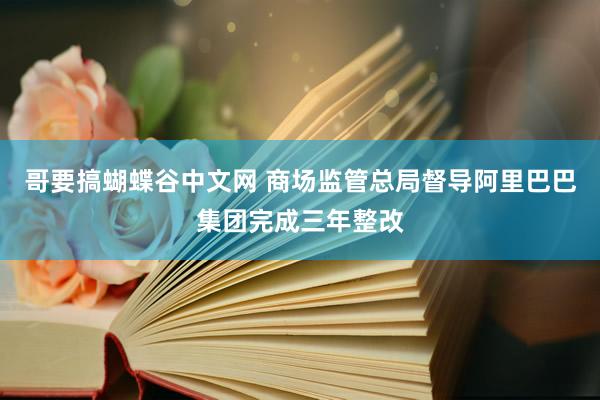 哥要搞蝴蝶谷中文网 商场监管总局督导阿里巴巴集团完成三年整改