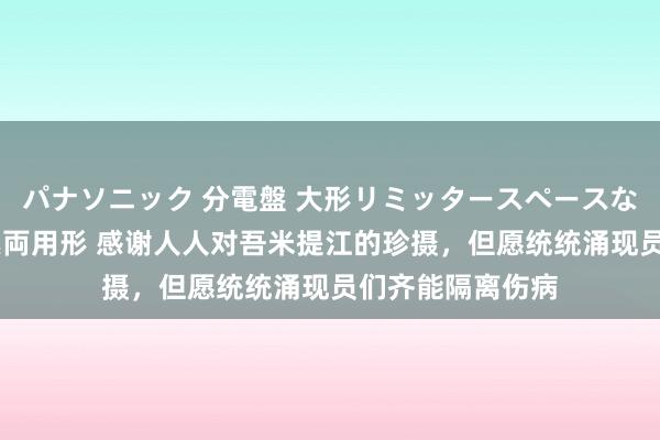 パナソニック 分電盤 大形リミッタースペースなし 露出・半埋込両用形 感谢人人对吾米提江的珍摄，但愿统统涌现员们齐能隔离伤病