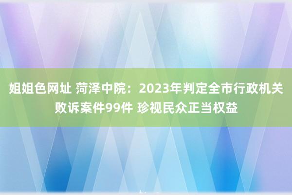 姐姐色网址 菏泽中院：2023年判定全市行政机关败诉案件99件 珍视民众正当权益