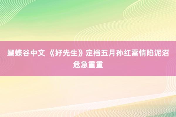 蝴蝶谷中文 《好先生》定档五月孙红雷情陷泥沼危急重重