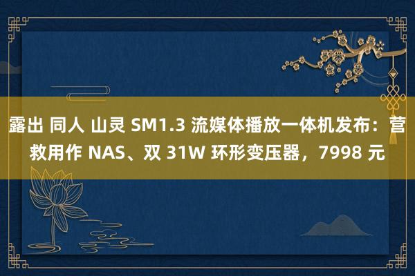 露出 同人 山灵 SM1.3 流媒体播放一体机发布：营救用作 NAS、双 31W 环形变压器，7998 元