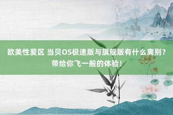 欧美性爱区 当贝OS极速版与旗舰版有什么离别？带给你飞一般的体验！