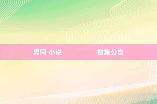 男同 小说                   搜集公告